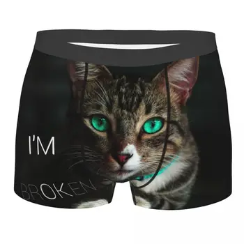 Belo Gato Com Olhos Verdes Homens de Cueca Bonito Boxer Shorts, Cuecas Engraçado Respirável Cuecas para Homme